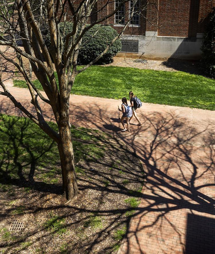 Two Students Walking Among Shadows of Trees