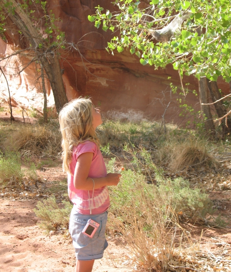 Caterpillars capture Louisa Bartkovich's attention in Zion National Park, Utah, 2008