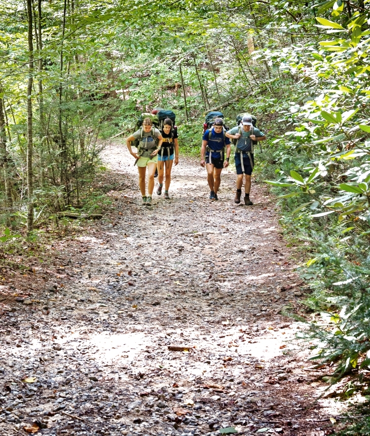 a group of four young people walk along a forested hiking trail wearing packs