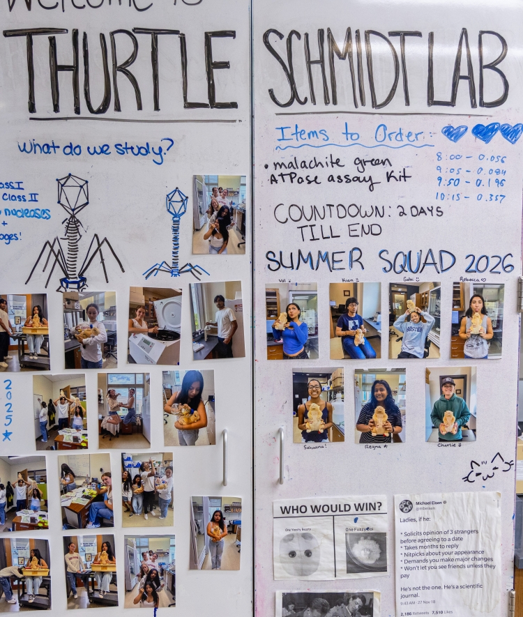 A whiteboard titled "Welcome to Thurtle-Schmidt Lab" features handwritten notes, phage diagrams, lists, and photos of student researchers labeled "Summer Squad 2026."