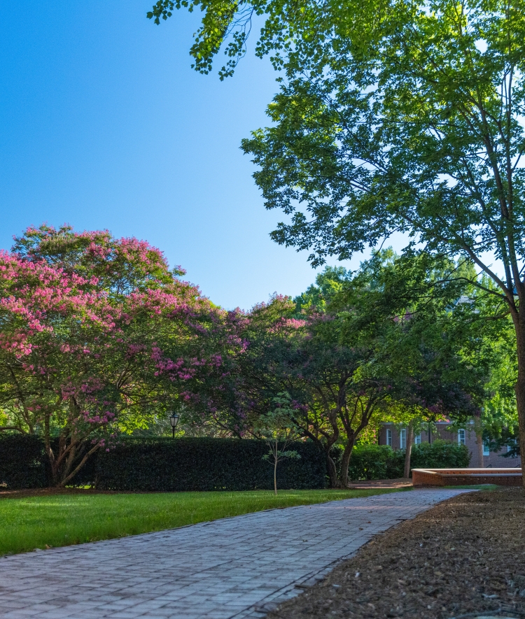Beautiful Davidson Campus with brick paths and trees