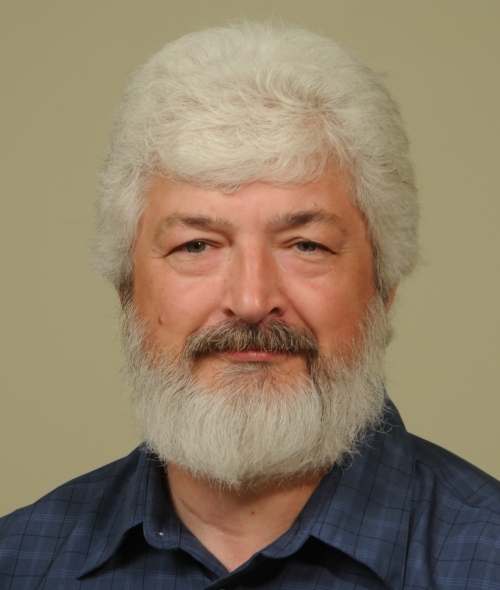 Zoran Kuzmanovich Professor of English