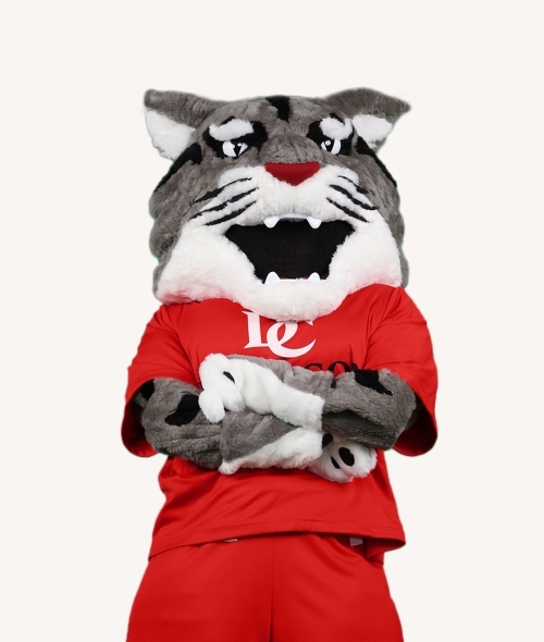 Wildcat mascot with arms crossed