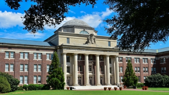 Outside of chamber with grass and blue sky through a tree