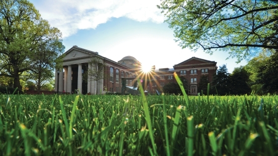 Chambers through blades of grass and the sunrise