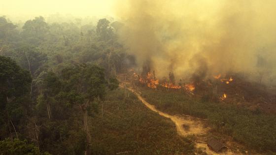 Amazon Rainforest on Fire