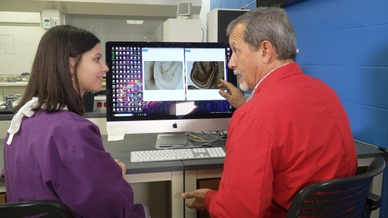 Katie Barlis and Prof. Julio Ramirez in the lab doing research