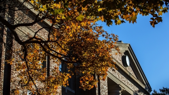 Chambers Building with Blue Sky and Fall Leaves