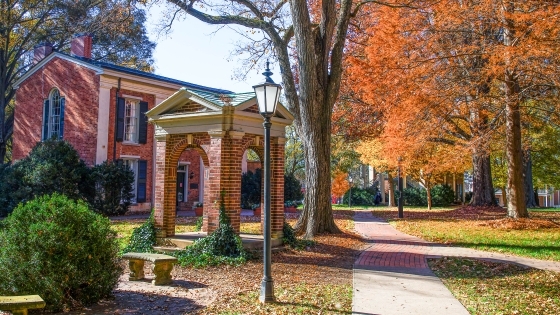 The Well in the Fall