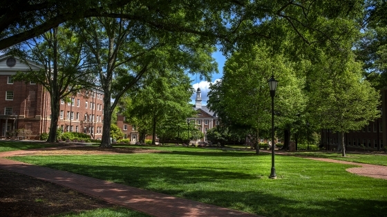 Davidson College Campus Beauty Featuring Trees and Brick Buildings