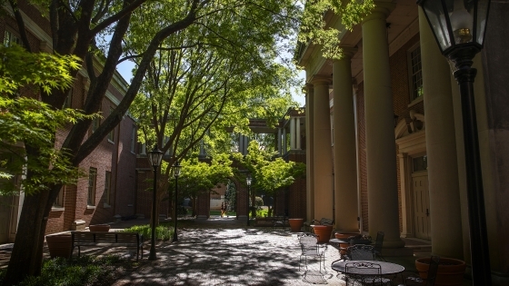 Student Walks Alone Between Buildings