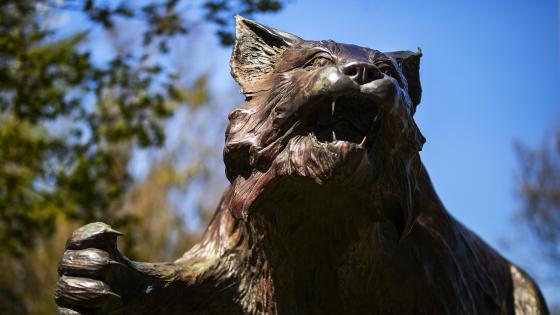 Wildcat Sculpture