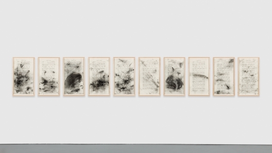 Bethany Collins, Dixie’s Land