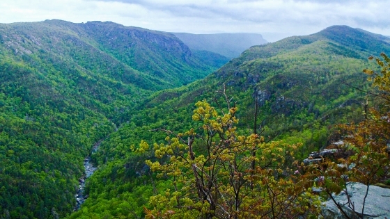 Linville Gorge View from Top