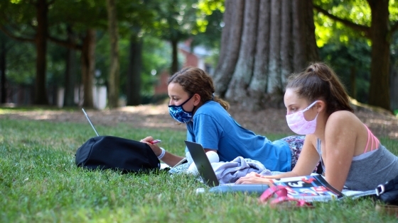 Students on laptops on green with masks