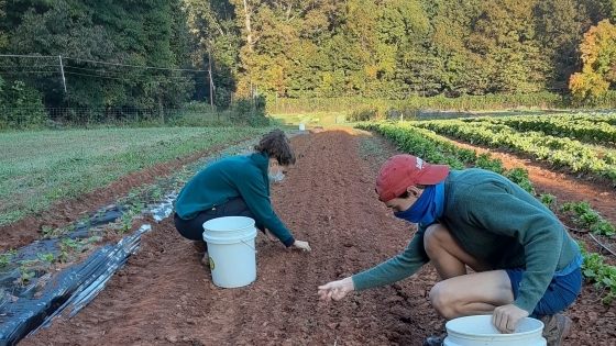 two students planting in Davidson Farm 