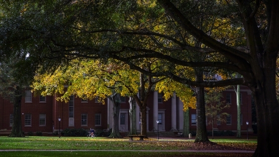 Campus in the fall