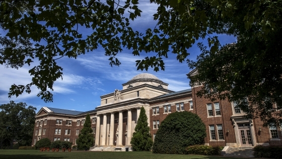 Tree cowers over Chambers building 