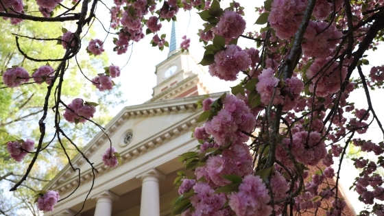 Flowers and Lingle Chapel