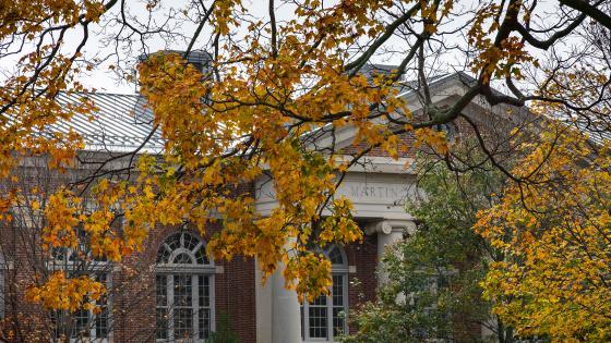 autumn leaves over Davidson College building