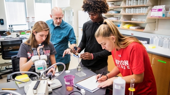 Prof. Paradise in Biology Lab with Students Conducting experiments