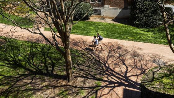 Two Students Walking Among Shadows of Trees