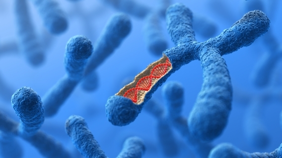 floating biological chromosomes with one open section showing DNA sample 