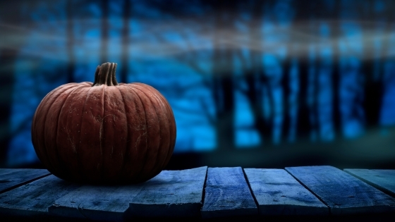 Pumpkin on a wooden porch in the woods