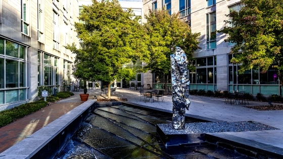 Zhan Wang, Artificial Rock No. 119, a chrome rock against the backdrop of a water feature and Davidson academic building