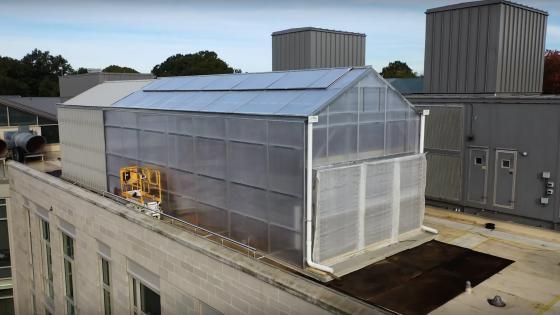 Davidson College completed greenhouse