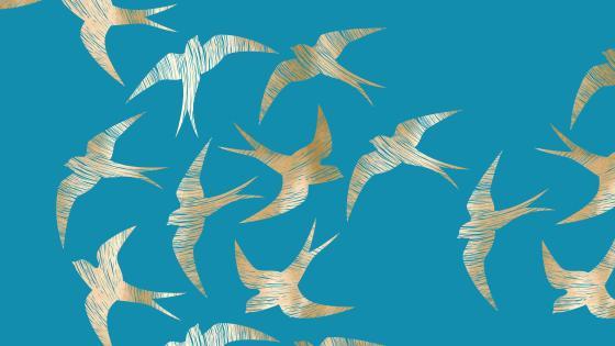 Illustrative gold swallows on blue background