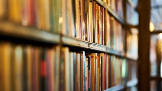 Shelf of Books