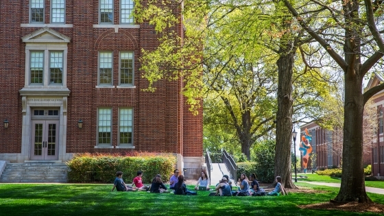 Outdoor classroom in the spring