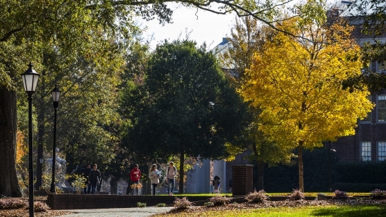 foliage during fall on campus