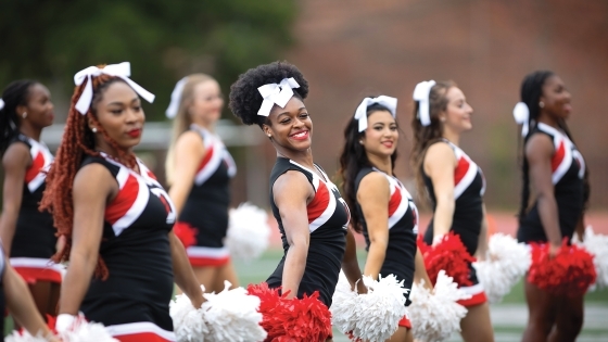 Cheerleading team performing at a football game