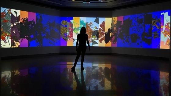 a silhouette stands in front of an art exhibit of colorful images and plants