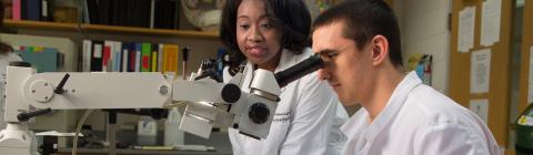 Two students stand at lab bench, one is looking through microscope