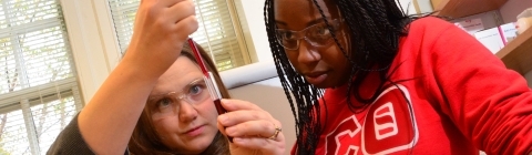 Prof. Nicole Snyder adds liquid to a small tube with a dropper while lab assistant, Joeyelle Newton observes