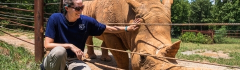 Katie Delk '06 kneels near a rhinoceros 