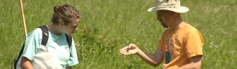 Student and professor examine an insect specimen in a field