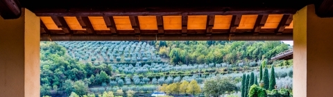 View of an Italian villa through an open window, showing the country side