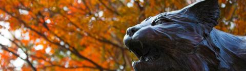 Wildcat statue head in front of orange fall leaves on trees