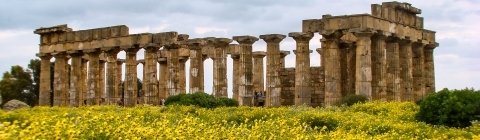 Photo of ancient ruins behind a field of yellow wildflowers
