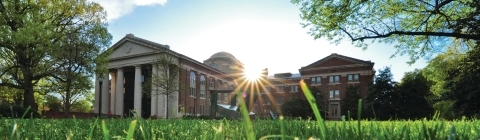 Chambers through blades of grass and the sunrise
