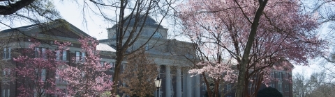 Chambers building surrounded by flowering trees