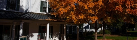 WDAV building on Main Street with orange fall leaves falling from tree