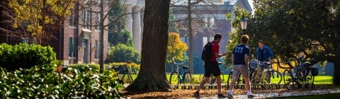 Students walk to class surrounded by trees and brick paths
