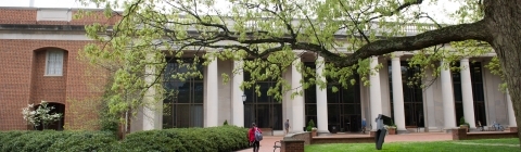 Student walking towards E.H. Little Library through blooming trees