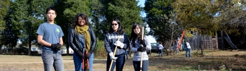 Students in a field doing community service