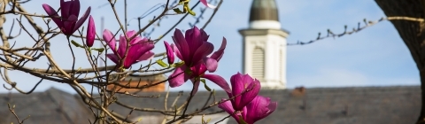 Campus Spring Photo